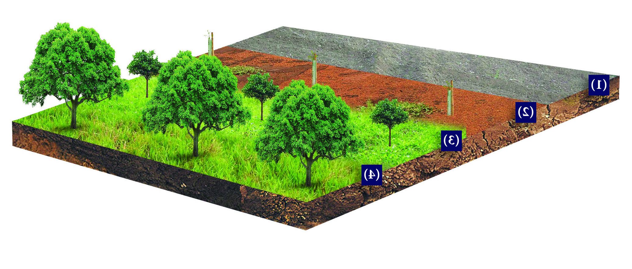 Layout 1