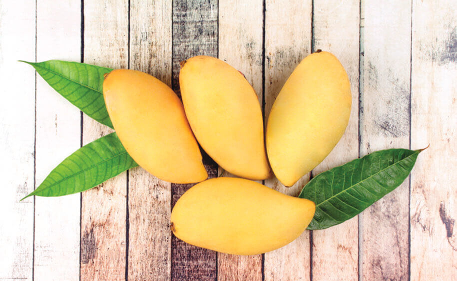 mango-prospectus_fr_BD_for_website-4